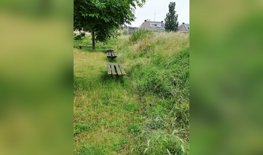 <p>Ook in het Vroege Vogelspark is te zien dat het groenonderhoud achter ligt. | </p>
