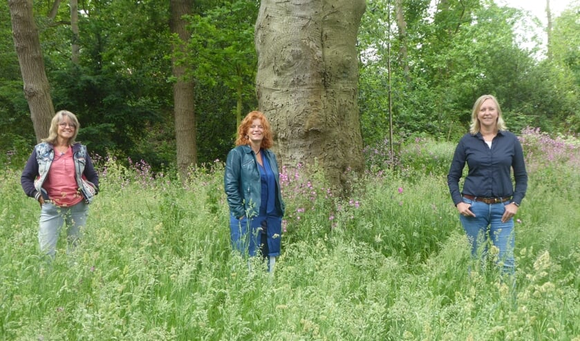<p>Het A-team van Kunstklank: Martha Baalbergen, Herma van Piekeren en Sylvia van Stijn. | Foto: Ina Verblaauw</p>