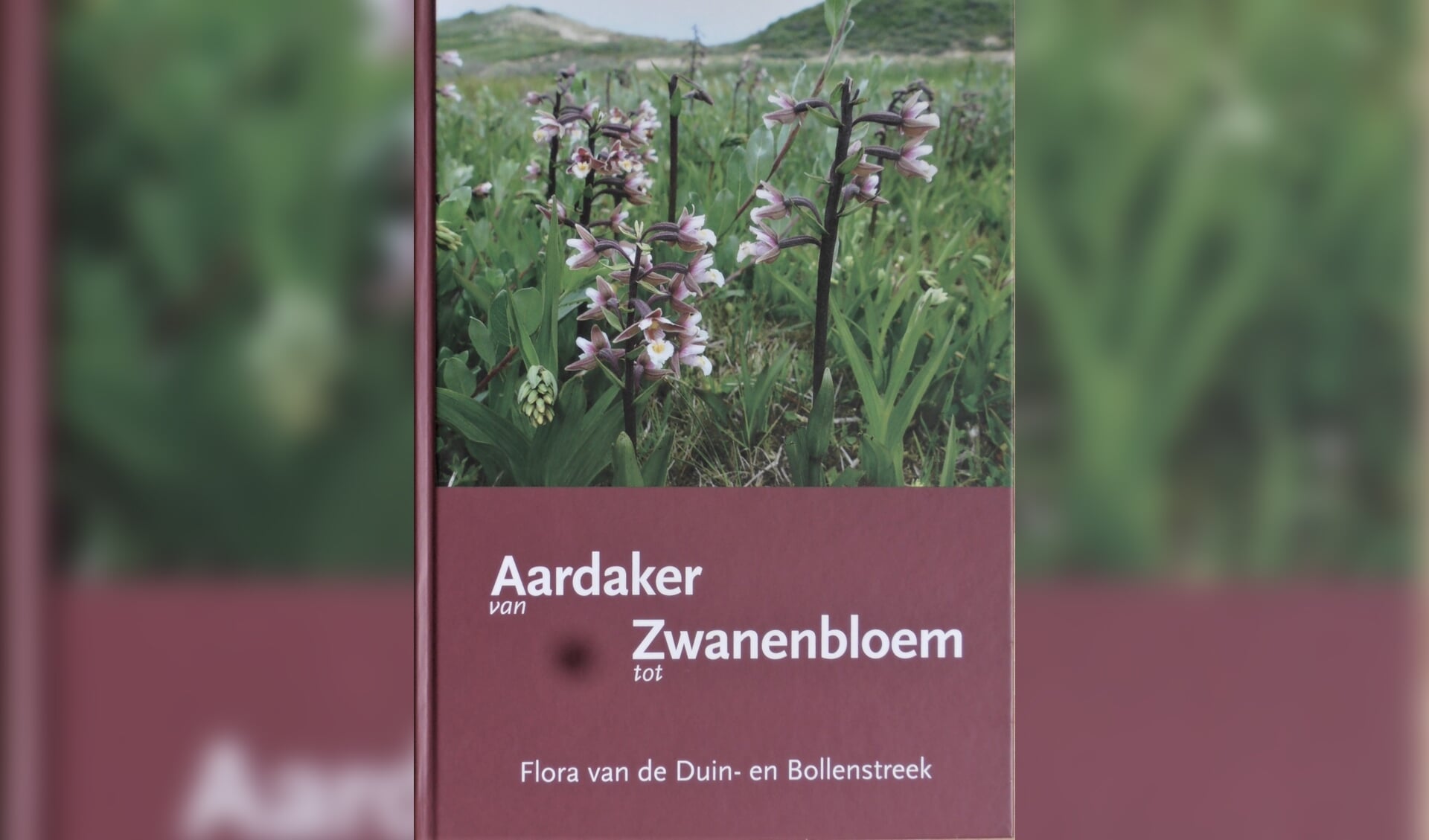 De kaft van het boek ‘Van Aardaker tot Zwanenbloem’ uit 2018 door Jelle van Dijk en Hans van Stijn.