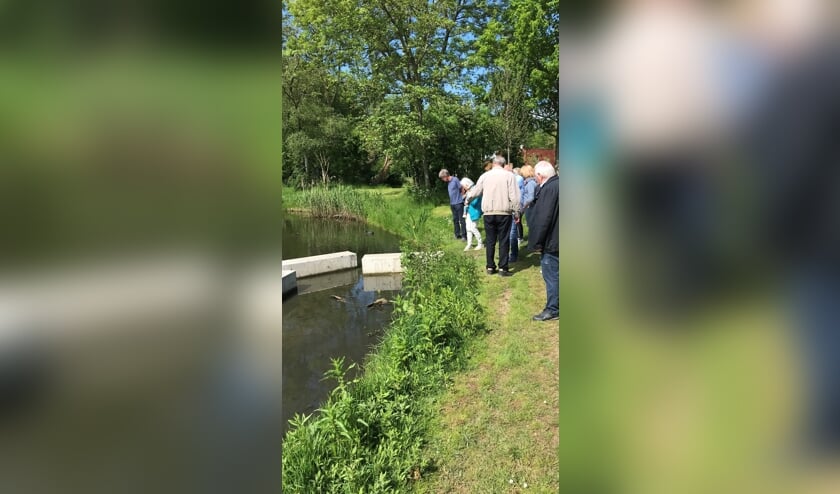 Op zoek naar heelblaadjes met Aad.