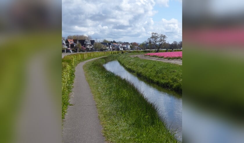 <p>Het pad langs de Oude Hillegommerbeek.</p>