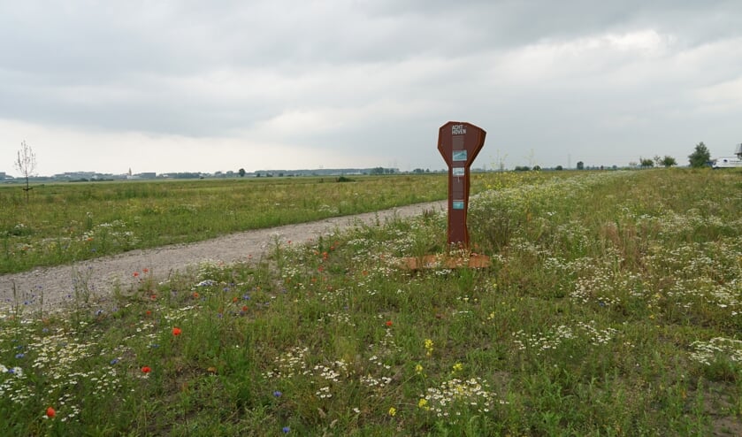 <p>Park Agthoven begint wat groener en bloemrijker te worden.</p>