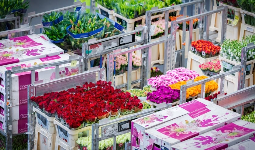Royal FloraHolland Naaldwijk-Honselersdijk.