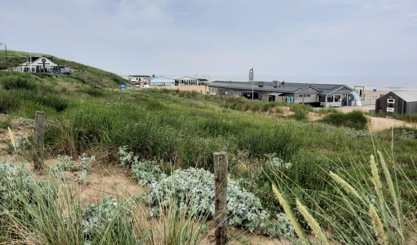 Strandpaviljoens moeten met lange zijde ‘nagenoeg evenwijdig aan de duinen liggen.’ | Foto: SKvD