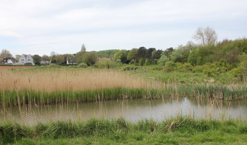 <p>Bewoners vrezen waardedaling van hun villa’s na de aanleg van een speeleiland in het middengebied.</p>
