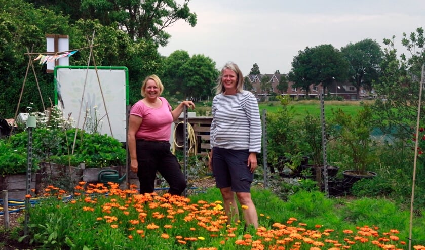 Jacqueline Bader (links) en Ingrid Verdegaal (rechts) in de Zelfoogsttuin Elsgeesterhof.