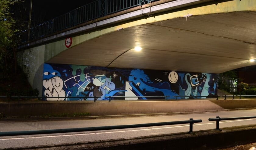 <p>Graffiti aan de Ruishornlaan. Dit soort grote graffitikunst zorgt ervoor dat er minder gekladderd wordt, merken de graffitikunstenaars uit Lisse.</p>