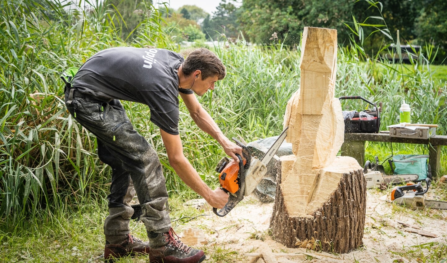 Bij de Heemtuin was een woodcarver aan het werk, die sculpturen uit boomstronken maakt met behulp van een kettingzaag.