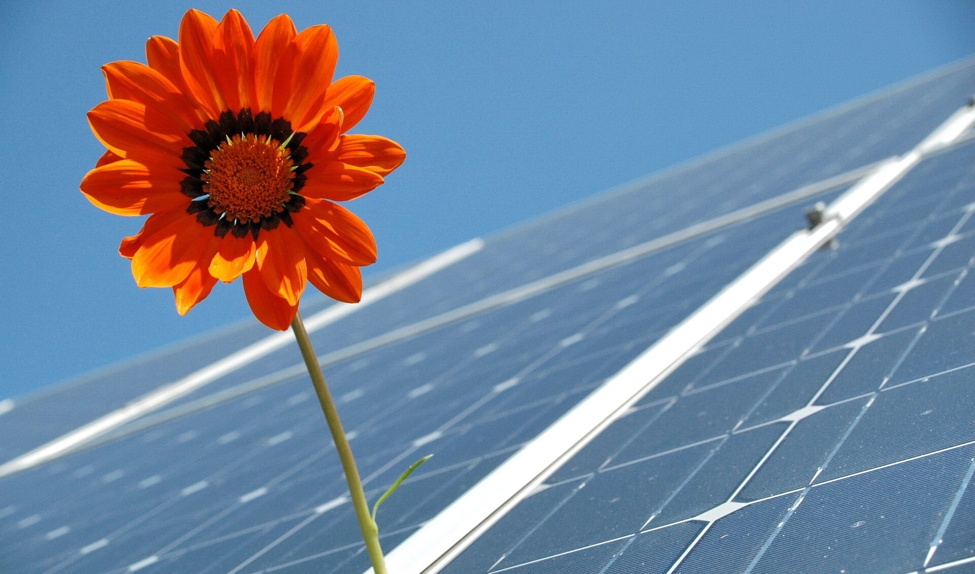 Bedrijven zijn op allerlei manieren bezig met duurzaamheid. Een van de bekendste is wel het plaatsen van zonnepanelen.