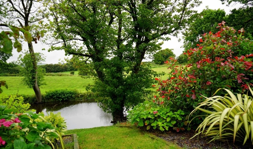 <p>Handige apps om planten te herkennen.</p>