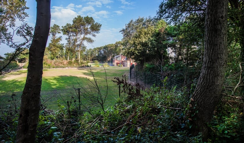 IJsclub Voorwaarts kan gerust zijn. De gemeentelijke wensdroom over een duingebied daar, wordt geschrapt. | Foto: Adrie van Duijvenvoorde