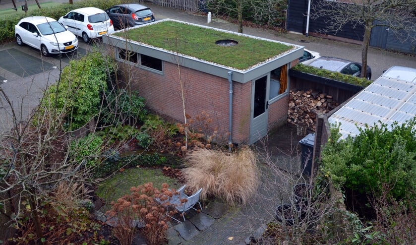<p>Voorbeeld van een sedumdak op een schuurtje. | Foto: pr</p>