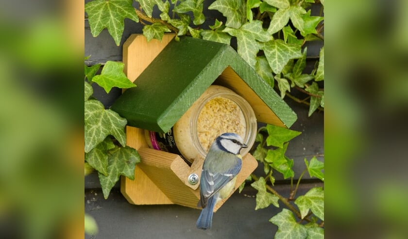 Vogelpindakaas bevat geen toegevoegd zout en de pinda's zijn ongebrand. Vogels vinden het heerlijk.