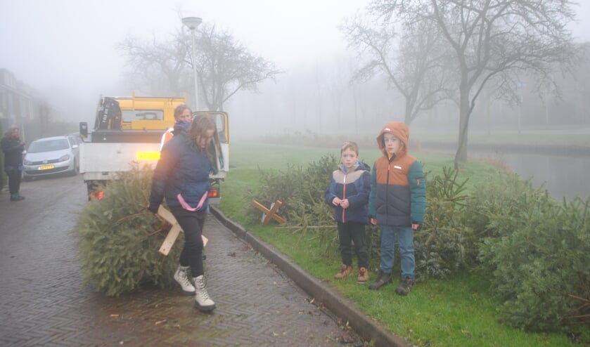 <p>Ook aan de Mauritssingel was een inzamelpunt voor afgedankte kerstbomen.</p>