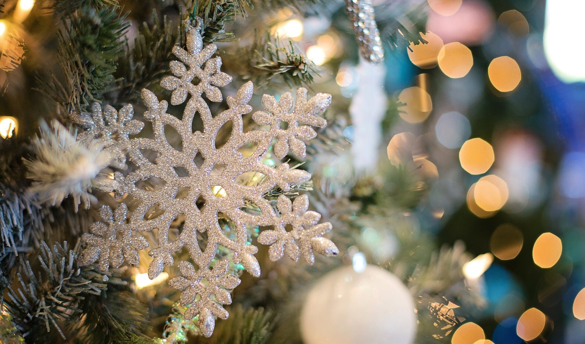 Extra sfeer in de straat? Vraag een BuurtKracht-kerstboom aan en organiseer er een activiteit bij.