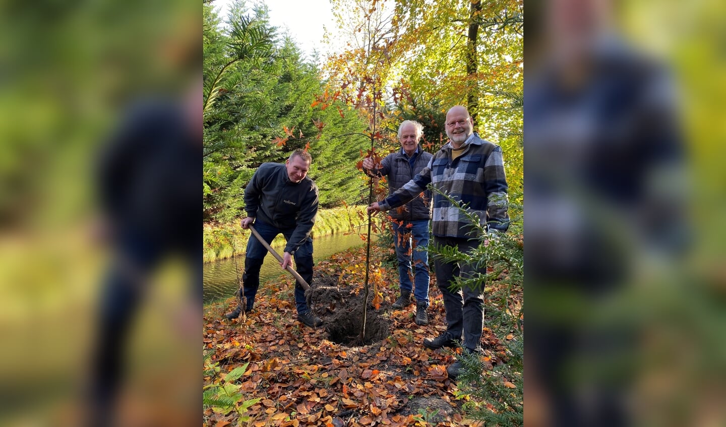 Stefan Slobbe, Ted Wiegman en Henk de Mooij plantten symbolisch de eerste boom in het park van Keukenhof.