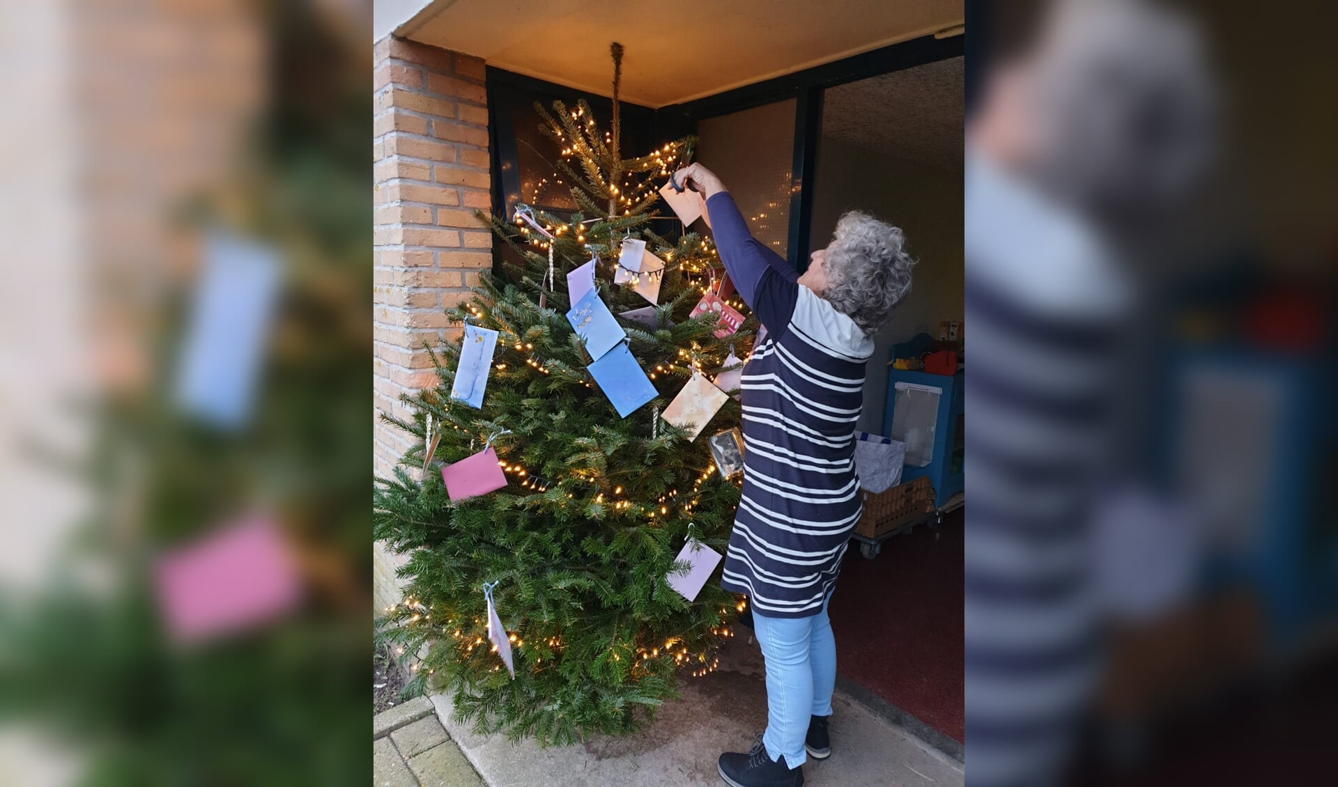 Ook dit jaar komt er weer een kerstboom bij De Voorraadkast. | Foto: pr
