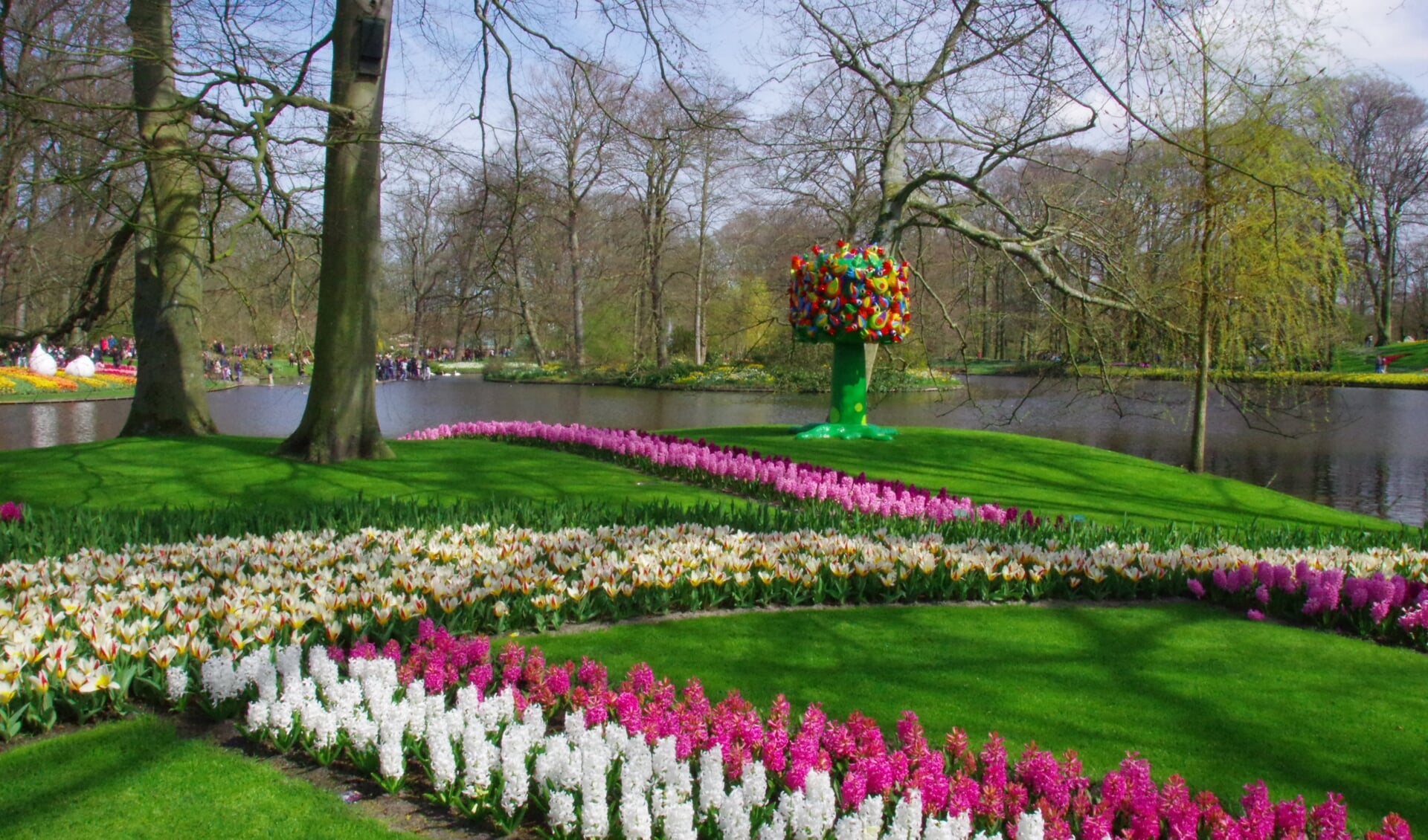 Over ruim een week kan het publiek weer genieten van het bloeiende park in Lisse.