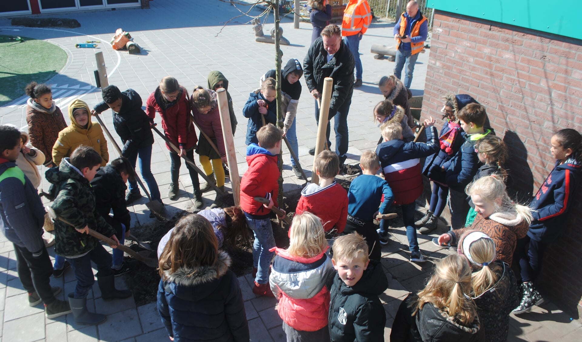 Wethouder Rik van Woudenberg plant de linde samen met kinderen van groep 3, 4, 5 en 6 van basisschool De Bron.  