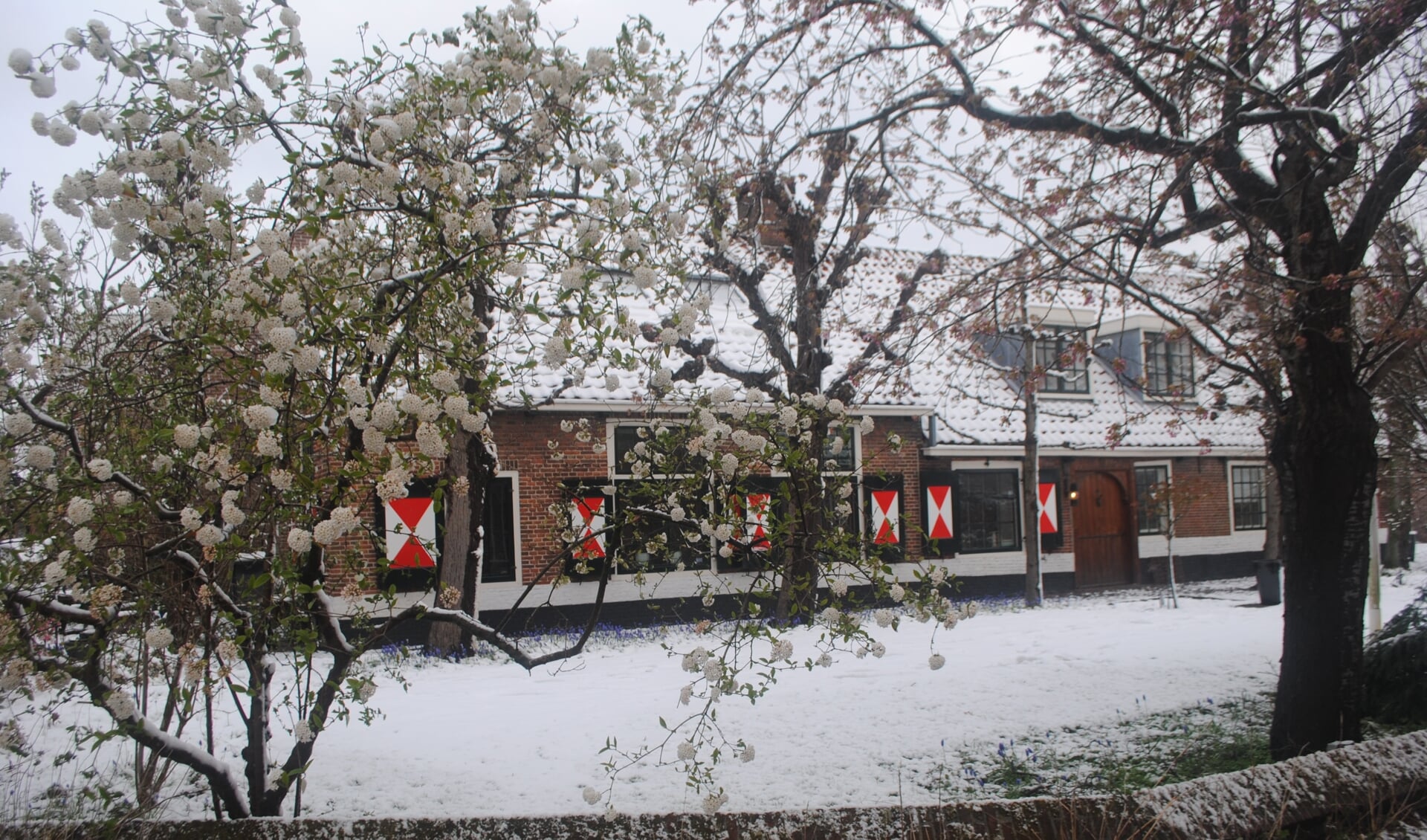 Bloeiende bomen in de sneeuw bij de oude boerderij in de Hoofdstraat. 