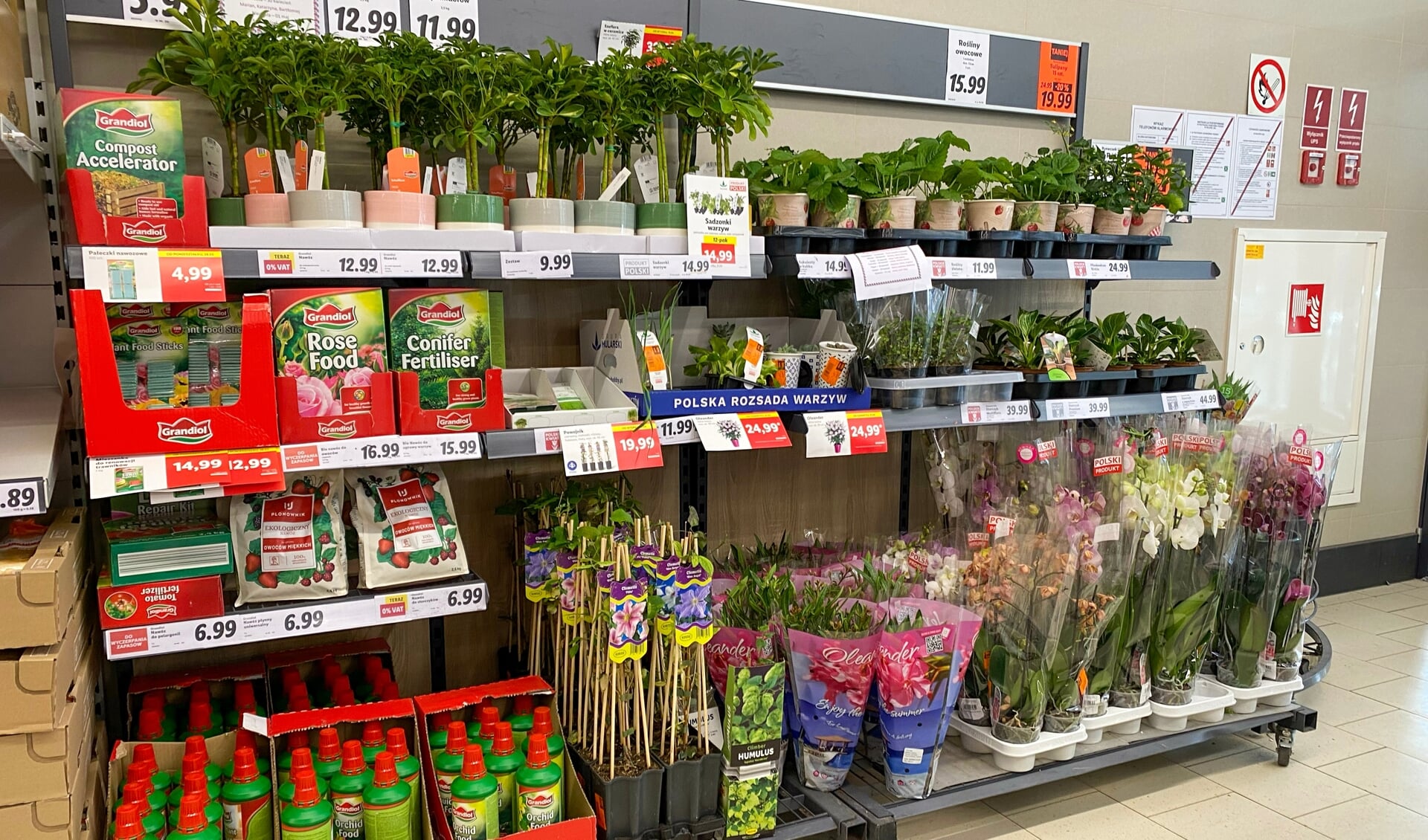 Gratis bloemen-en plantenverkoop Pools retailkanaal - Al het nieuws uit Bloemenkrant