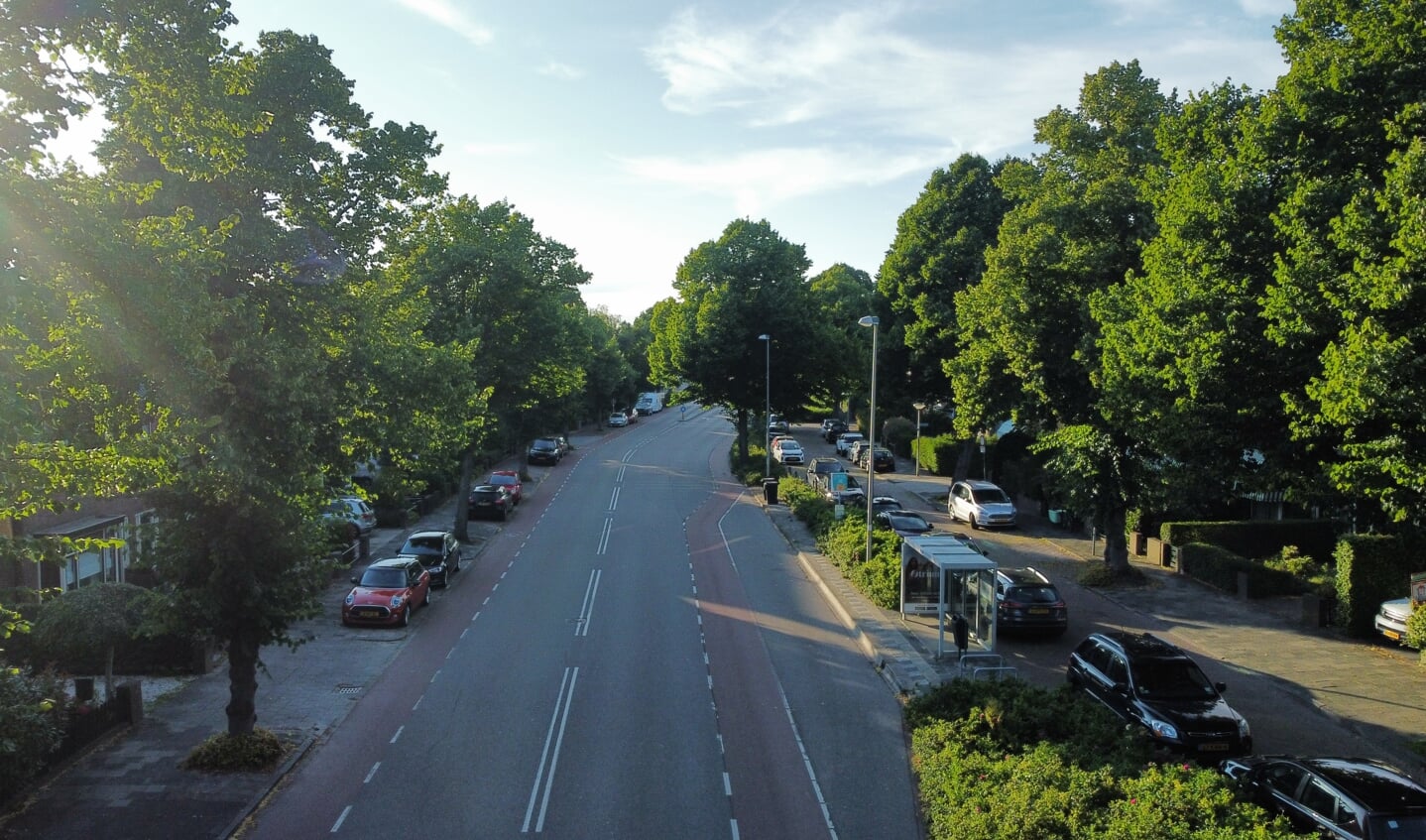 Een deel van de Acacialaan, Ter hoogte van kruising met de Plantage, iets boven de abri bij de bushalte, komt een middeneiland en een centrale oversteekplek.
