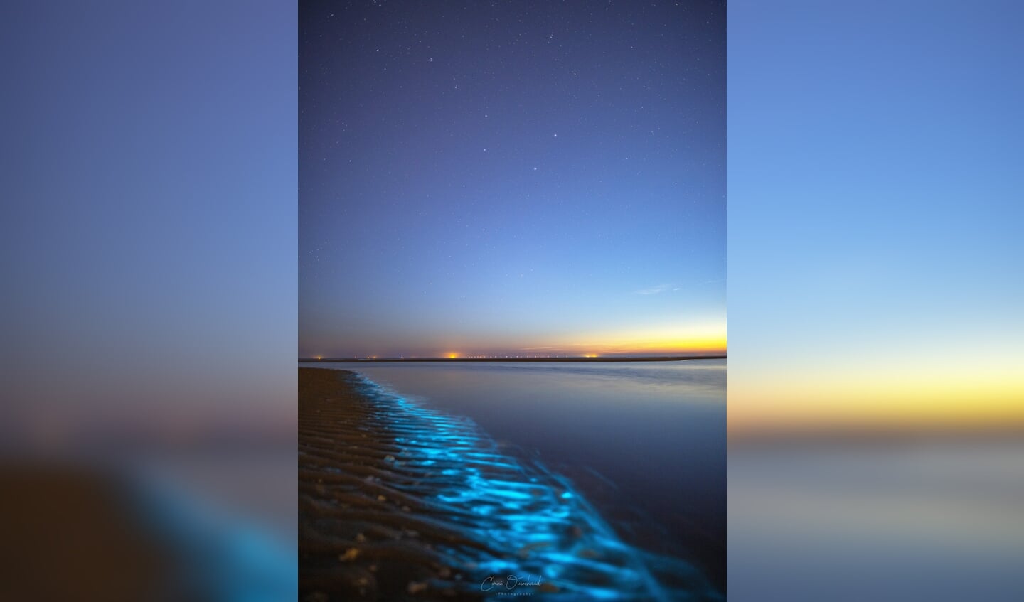 Zeevonk en een prachtige sterrenhemel. | Foto: Corne Ouwehand