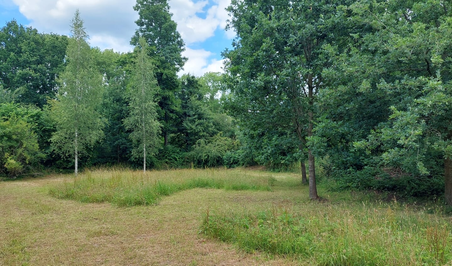 Het maaien gebeurt in stroken: pas als het gemaaide deel weer is aangegroeid, komt het stuk dat was blijven staan aan de beurt.