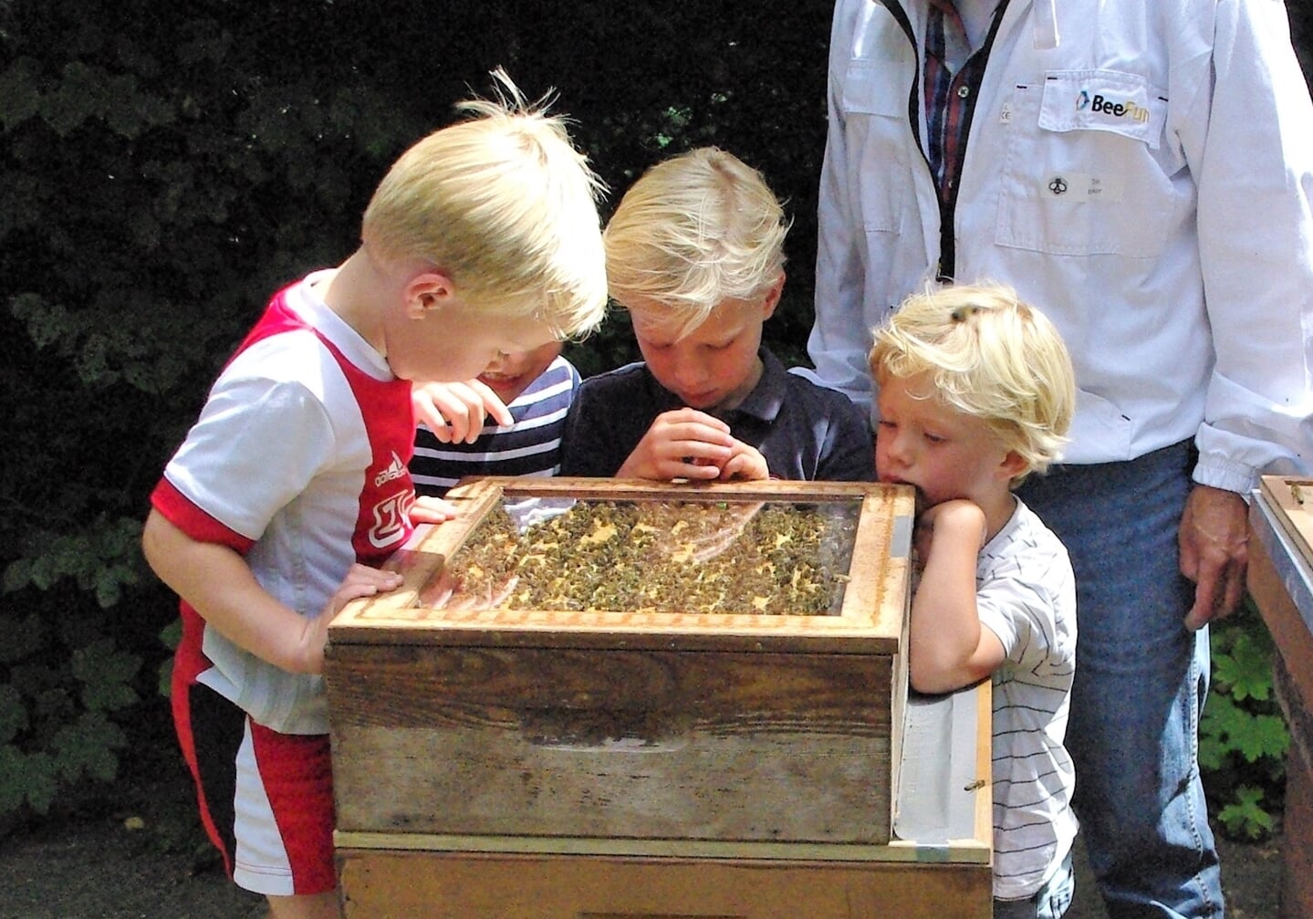 Geïntrigeerd kijken jonge bezoekers naar de bijen. |
