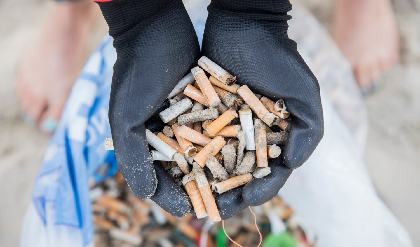 De hoeveelheid peuken op strand is enorm en dat is slecht nieuws, want peuken bestaan onder meer uit plastic. | Foto: Mart Smit - Stichting De Noordzee