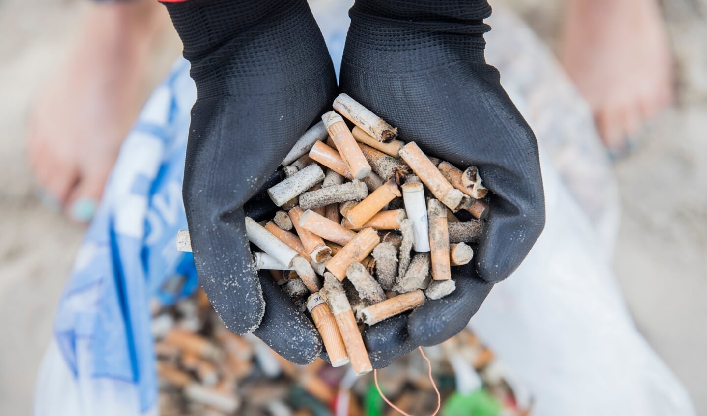 De hoeveelheid peuken op strand is enorm. Slecht nieuws vanwege het plastic. | Foto: Mart Smit - Stichting De Noordzee