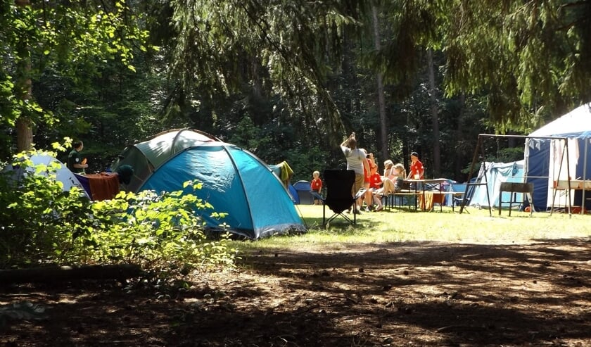 Zelfs vanaf een Nederlandse camping kun je een een spreekuur van RegelZorg bezoeken voor een rijbewijskeuring.  