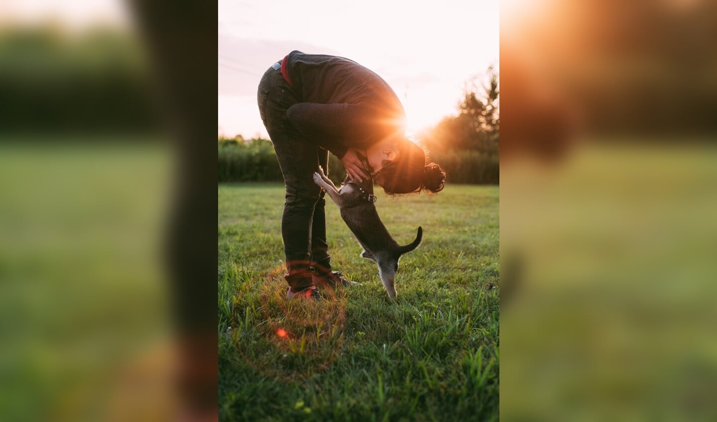 Een blij weerzien tussen hond en baas. | Foto Laura Stanley via Pexels