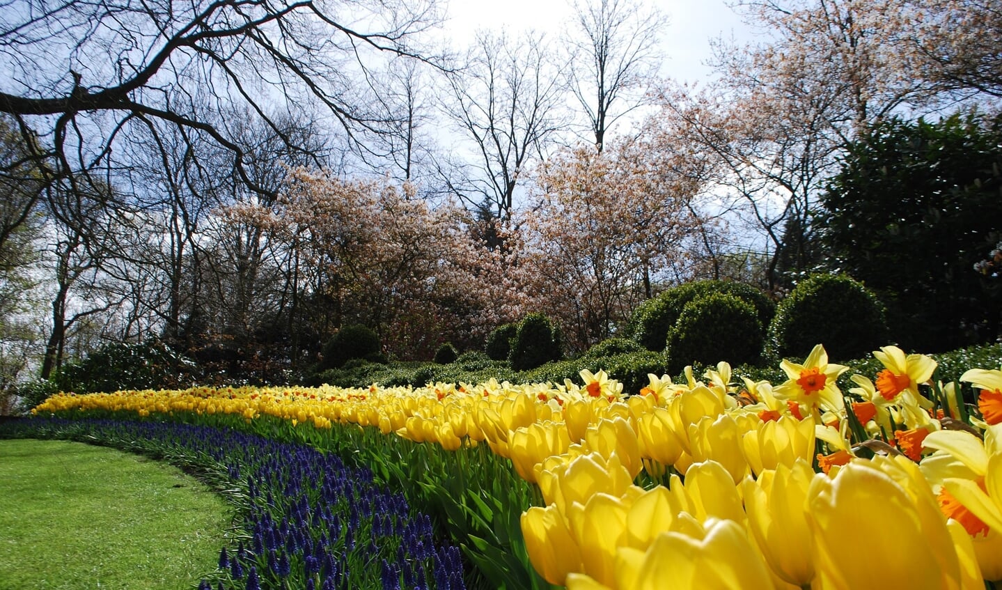 De oud-collega's van Keukenhof hebben van deze plek veel herinneringen die ze graag tijdens de reünie weer delen met elkaar.