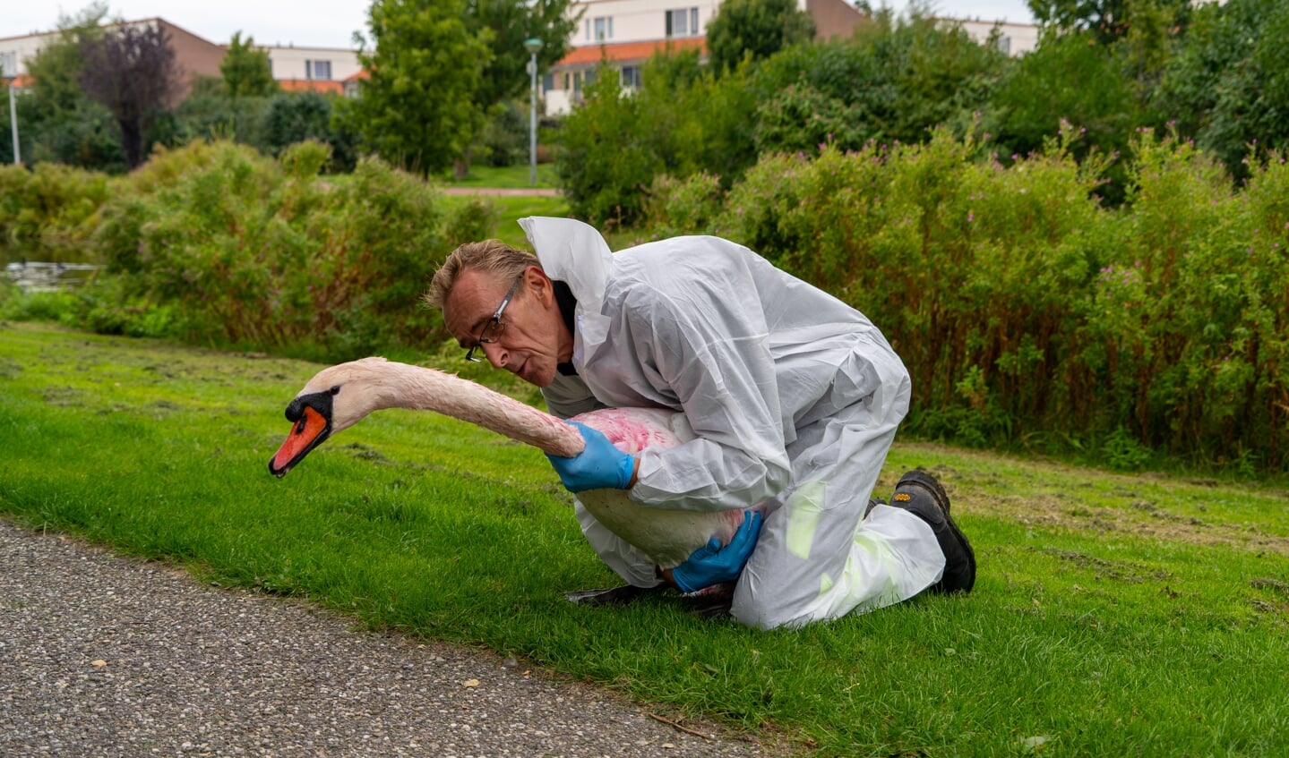 Edwin van de Zwanengroep krijgt het mannetje vrij makkelijk te pakken.