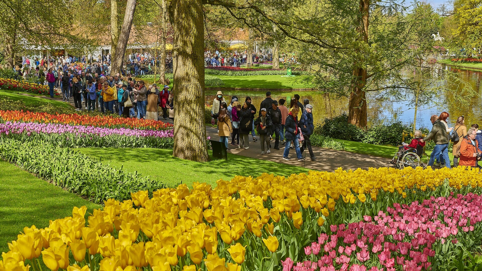 Op de Lisse-dag bezochten zo'n 9.000 Lissers Keukenhof, op uitnodiging van de bloemententoonstelling. 
