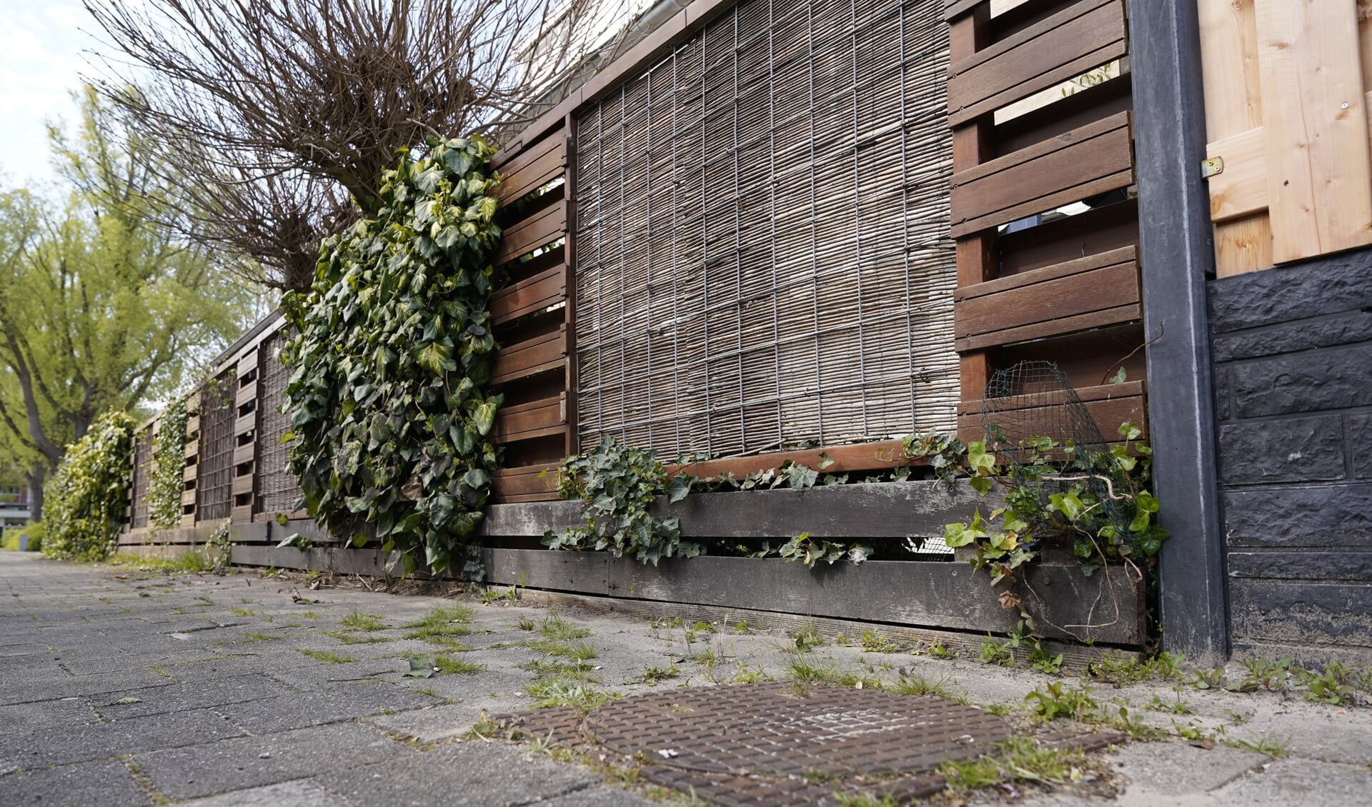 Deze grijze hekjes zijn door de gemeente zelf geplaatst. | Foto: Marc Wonnink