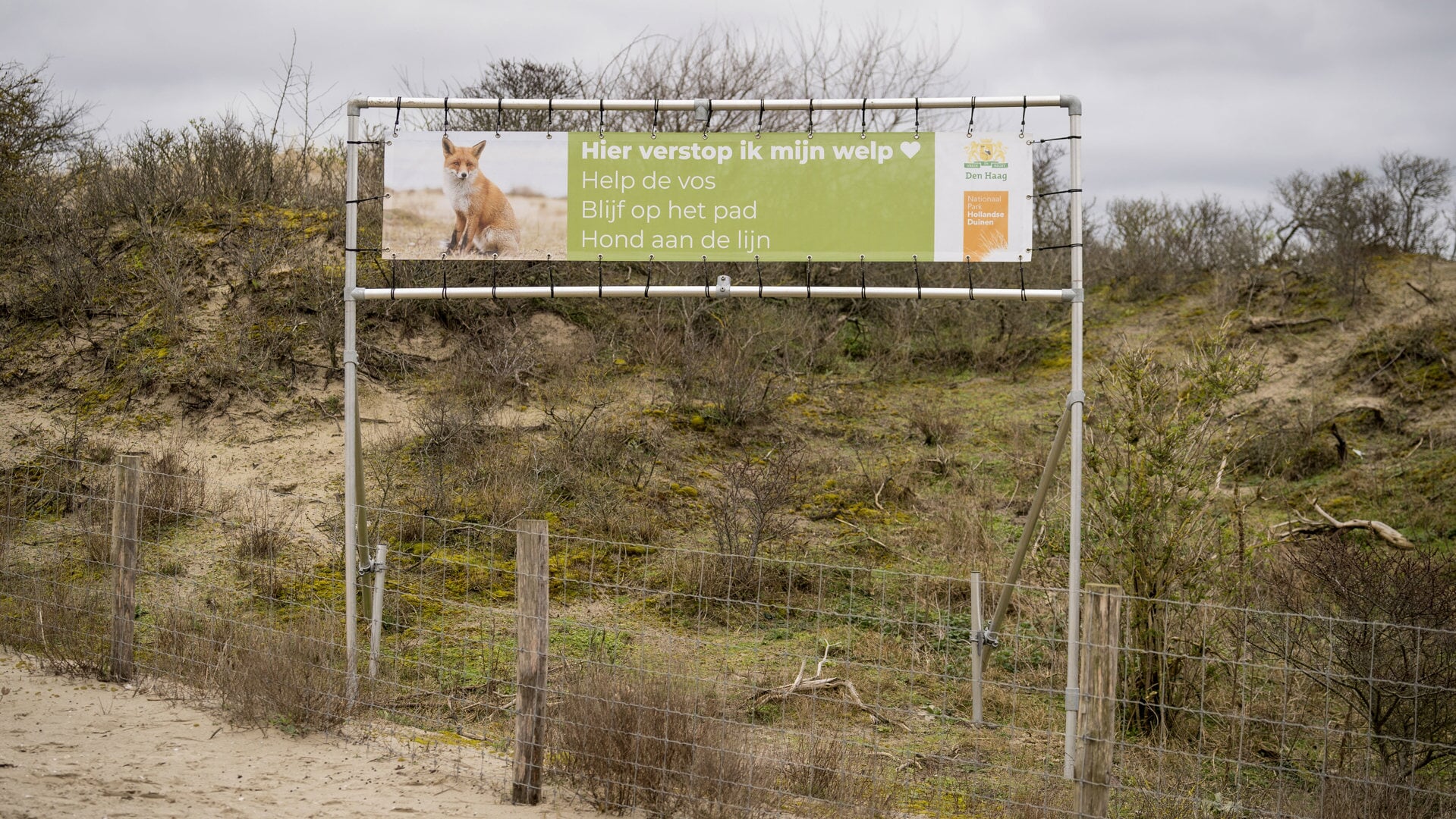 Partners van Nationaal Park Hollandse Duinen (NPHD) zijn gestart met een publiekscampagne. | Foto: pr