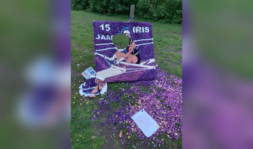 Het mozaïek van RV Iris viel ten prooi aan vandalen. | Foto: pr