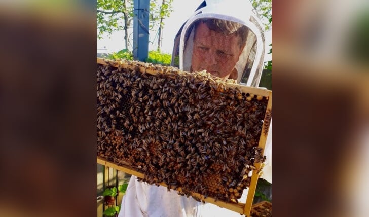 Imker Arie-Bart Imthorn: 'De bijen weten tegenwoordig niet meer wanneer het winter of zomer is'. | Foto's: pr.