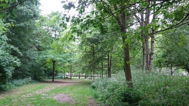 Afbeelding