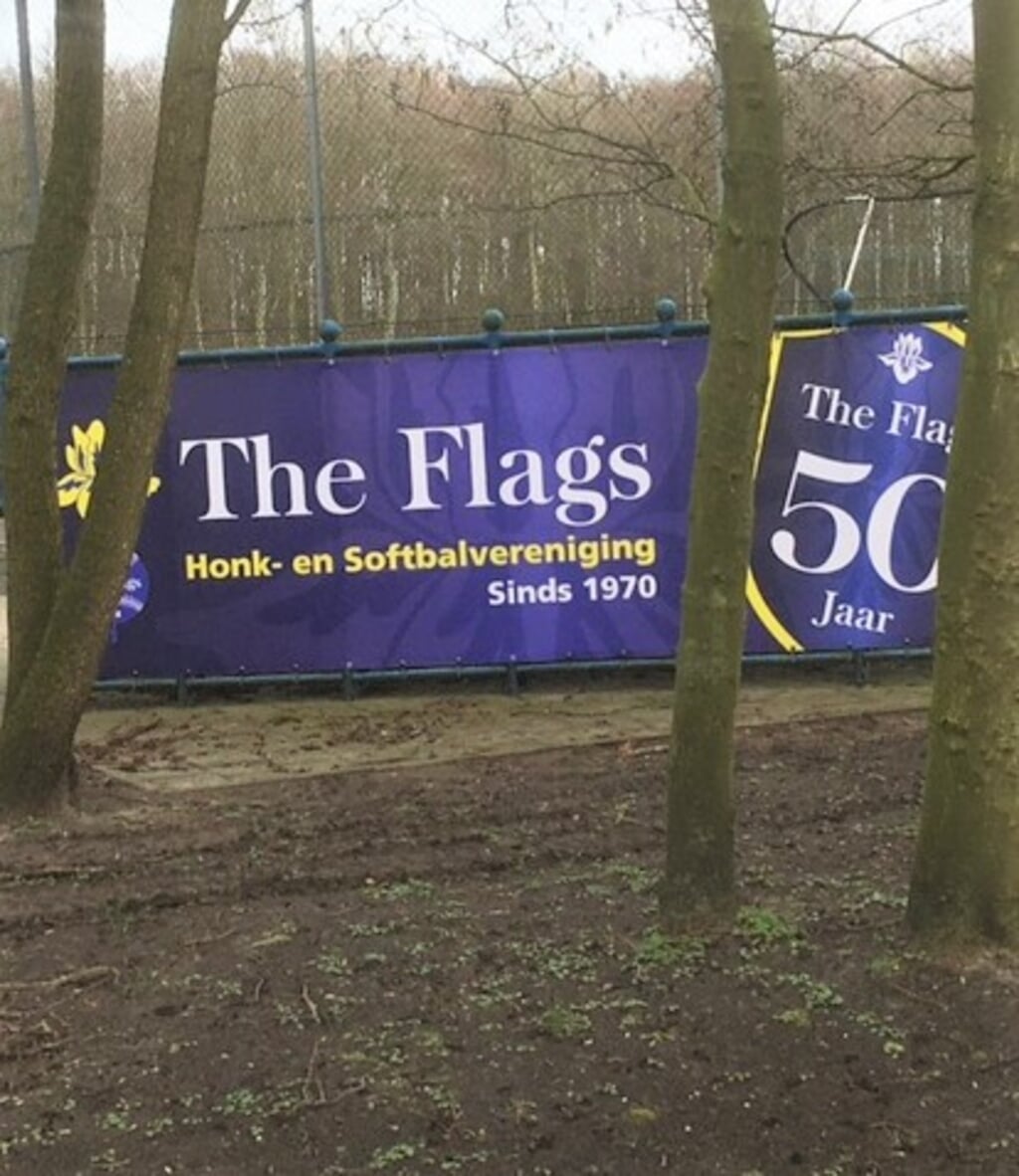 Dat The Flags 50 jaar bestaan willen zij weten. | Foto: Nico Assendelft