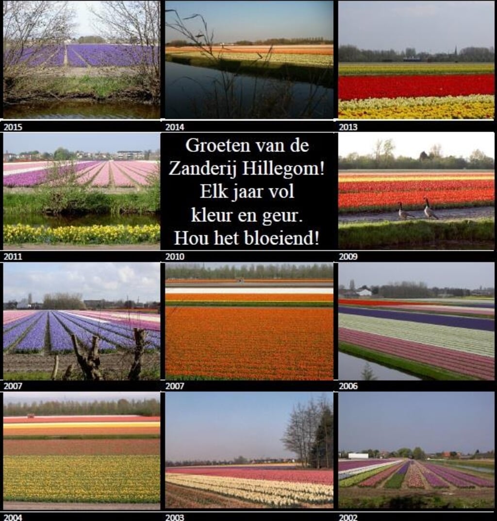 Fotobijschrift: De Zanderij. | Foto: Facebook, Behoud Zanderijen Hillegom.