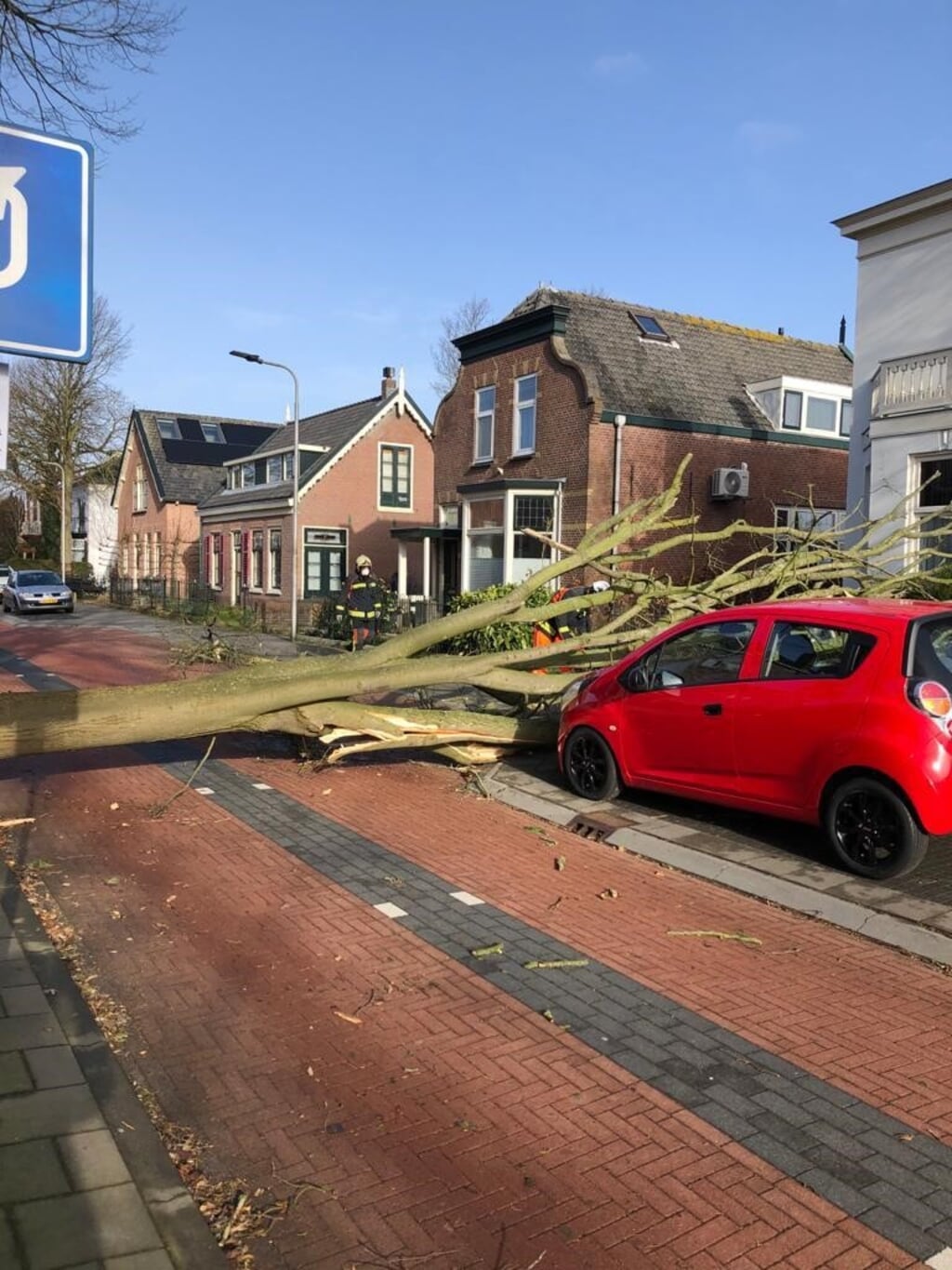 Op de Stationsweg in Hillegom beschadigde een omgevallen boom een auto. | Foto: pr