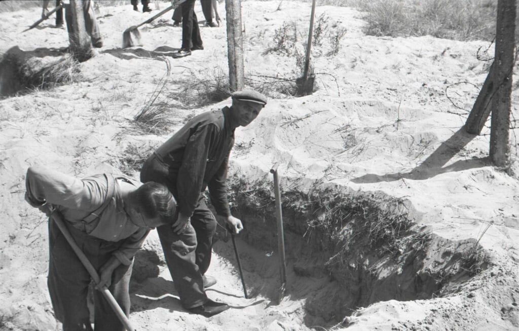 Op aanwijzing van Katwijker Piet Kuijt (met pet) worden na de oorlog de graven van verzetsmensen op de Waalsdorpervlakte terug gevonden. | Foto: NIOD