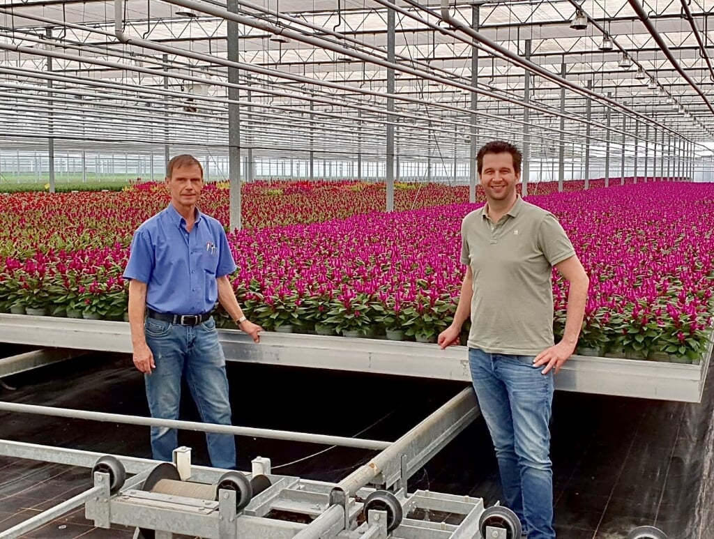 LV Plant: Leo Valstar en Vilosa Rene van Dop.