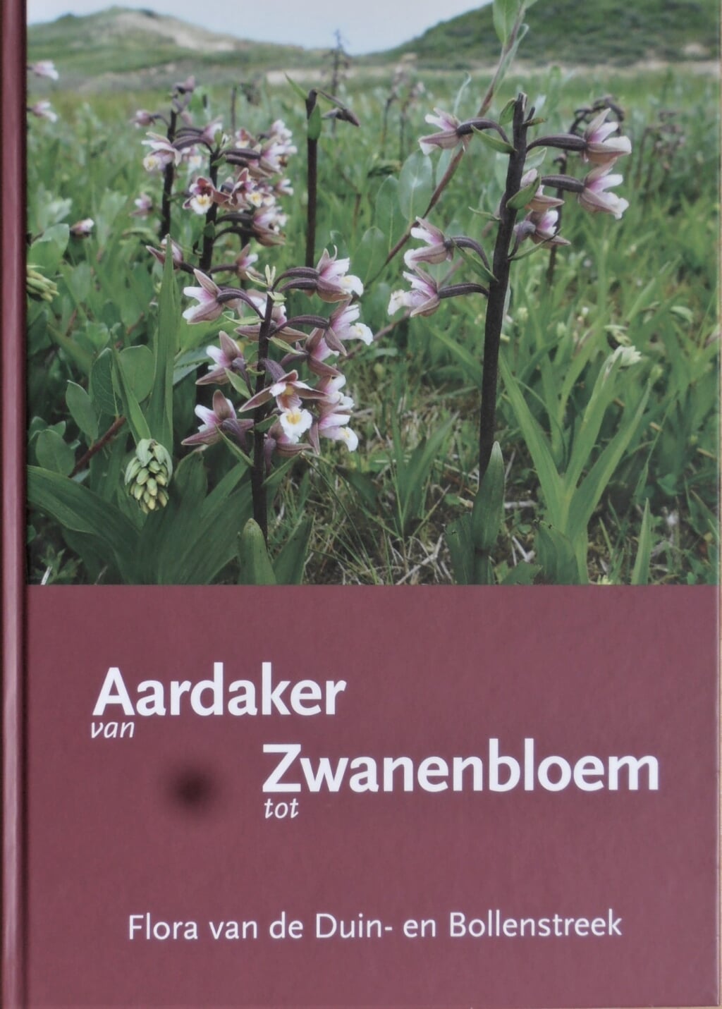 De kaft van het boek ‘Van Aardaker tot Zwanenbloem’ uit 2018 door Jelle van Dijk en Hans van Stijn.