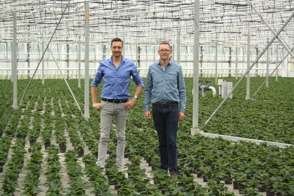 Martin en Peter van den Bos, kwekerij Islandplant.