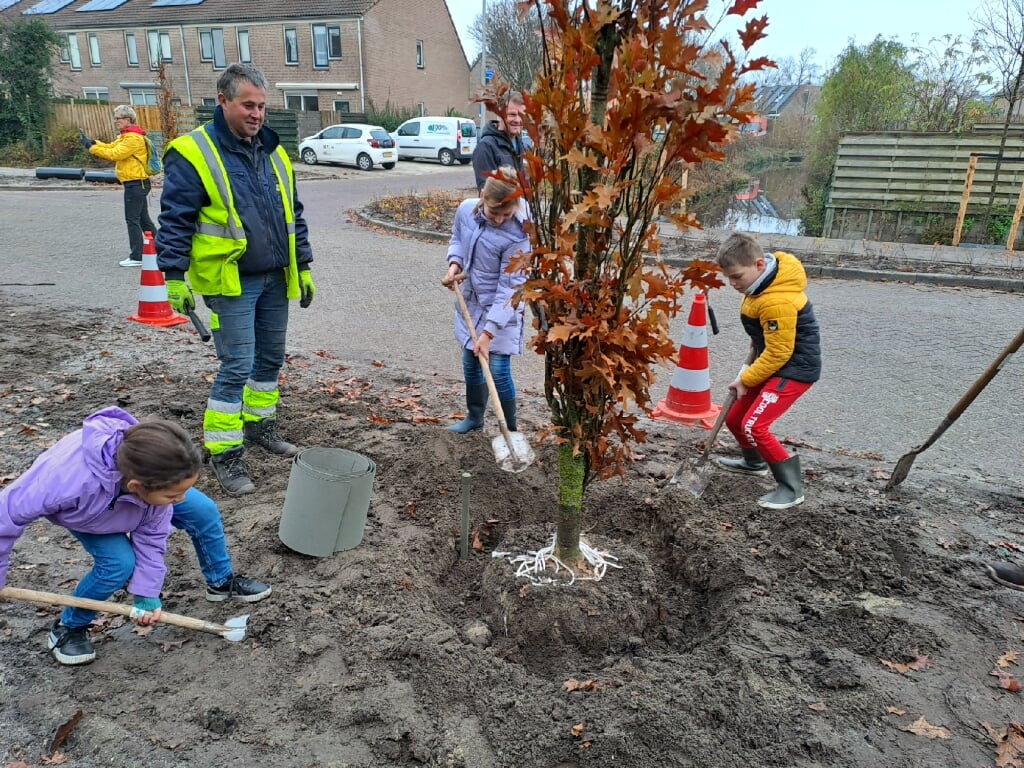 Leerlingen van de Regenboog helpen enthousiast mee. Omdat hun school in de wijk staat, gaan zij 'hun' boom zien groeien. | Foto: MV