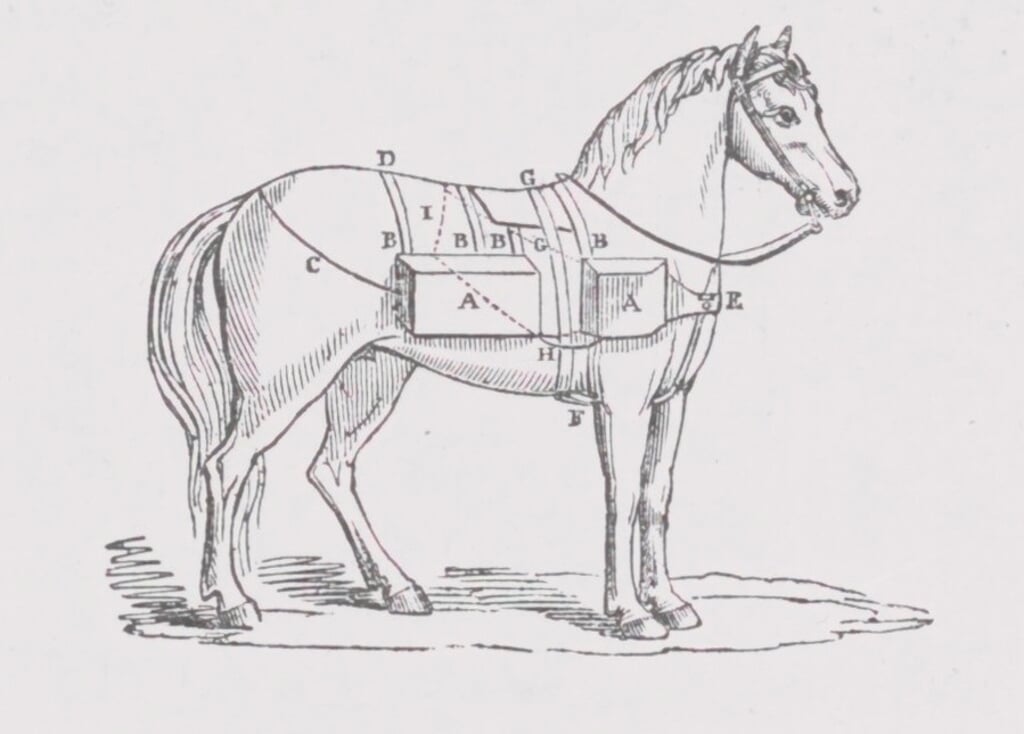 Tekening van een paard voorzien van Andries Scheerboom’s ‘drijftoestel’.
Het drijfvermogen ontleende het ‘drijftoestel’ aan de met biezen gevulde compartimenten, aangeduid met A. | Bron: Archief KNRM

